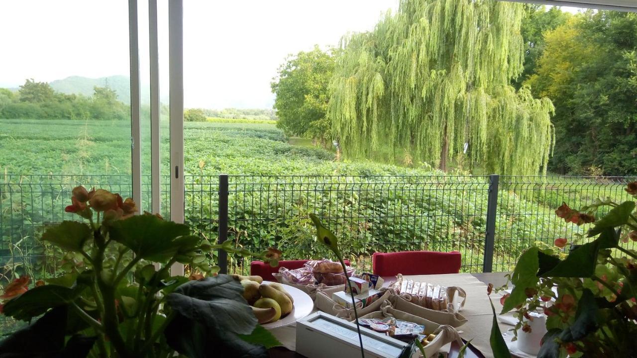 B&B La Via Dell'Ambra Due Carrare Экстерьер фото